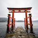 Torii gate at the Hakone Shrine